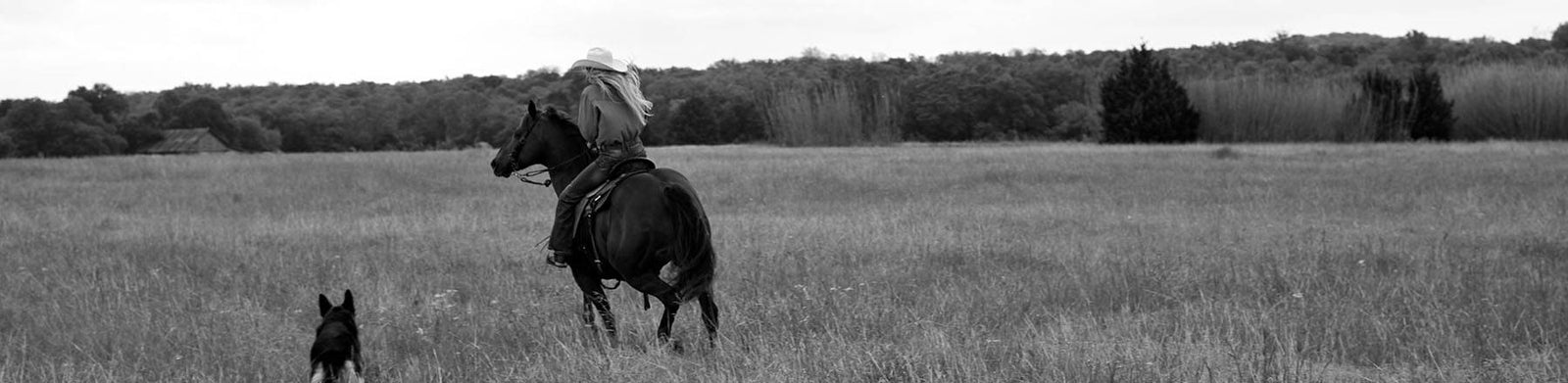 Welcome to the New Frontier